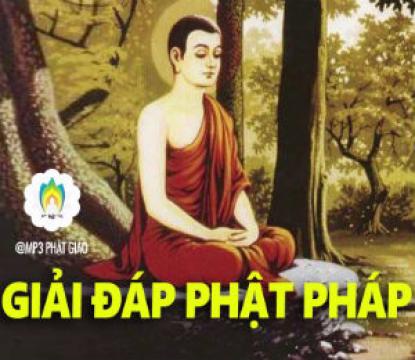Kể Truyện Đêm  Giải Đáp Phật Pháp  Những Lời Phật Dạy  MP3 Phật Giáo 1