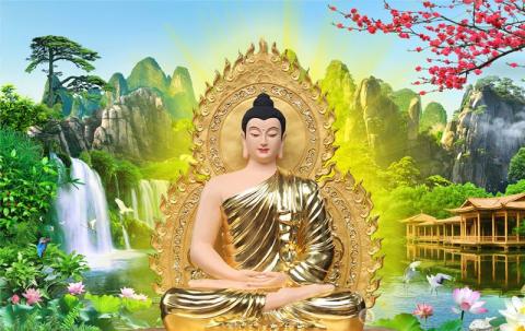 Kinh Xám Hối Cầu Bình An Sức Khỏe Cho Mọi Người - Nghe Kinh Phật Mỗi Ngày