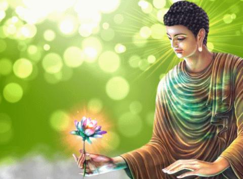 ảnh Kinh Diệu Pháp Liên Hoa Phần 22 - Nghe Kinh Phật Buổi Tối