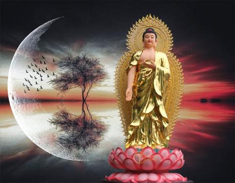 66 Lời Phật Dạy Để Sống An Nhiên Không Phiền Lo - Lời Phật Dạy Về Cuộc Sống
