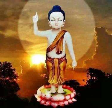 ảnh Kinh Diệu Pháp Liên Hoa Phần 26 - Nghe Kinh Phật Đêm Khuya