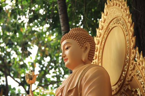 Những Câu Chuyện Phật Giáo Chọn Lọc Hay Nhất | Nghe Truyện Phật Giáo Không QC