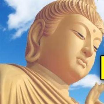 Lãng Phí Lớn Nhất Của Đời Người Xin Đừng Hơn Thua - Lời Phật Dạy Ý Nghĩa
