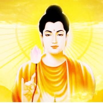 Album Nhạc Thiền Phật Giáo Tĩnh Tâm Chọn Lọc