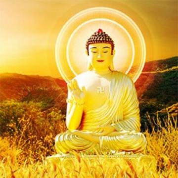 Album Nhạc Phật Giáo Chọn Lọc Hay Nhất 2019