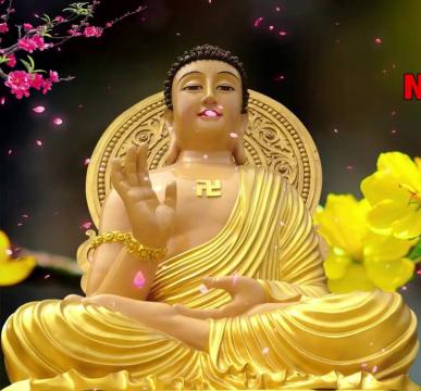 LK Xuân 2023 Nhạc Phật Mừng Tết Quý Mão Mọi Người Bình An