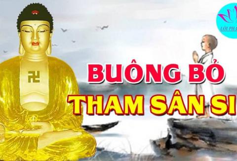 Buông Bỏ Tham Sân Si Thoát Khỏi Khổ Đau - Những Lời Phật Dạy Hay Ý Nghĩa Nhất