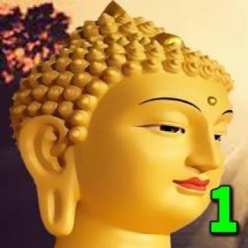 Nghe Lời Phật Dạy Giá Trị Của 1 Con Người Nằm Ở Đâu