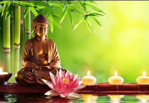 Làm Thế Nào Trả Hết Nợ Oan Gia Trái Chủ Trong 1 đời - Phật Pháp Nhiệm Màu